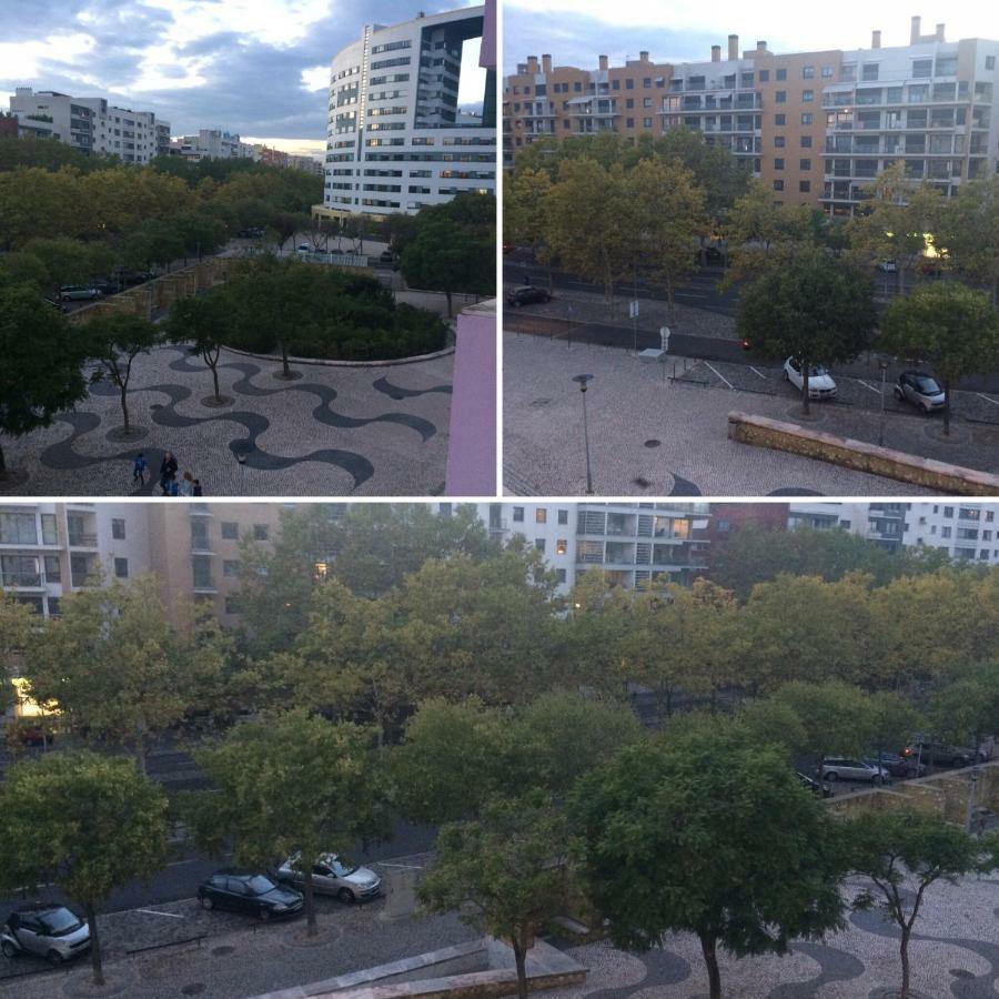 Jardim Dos Jacarandas