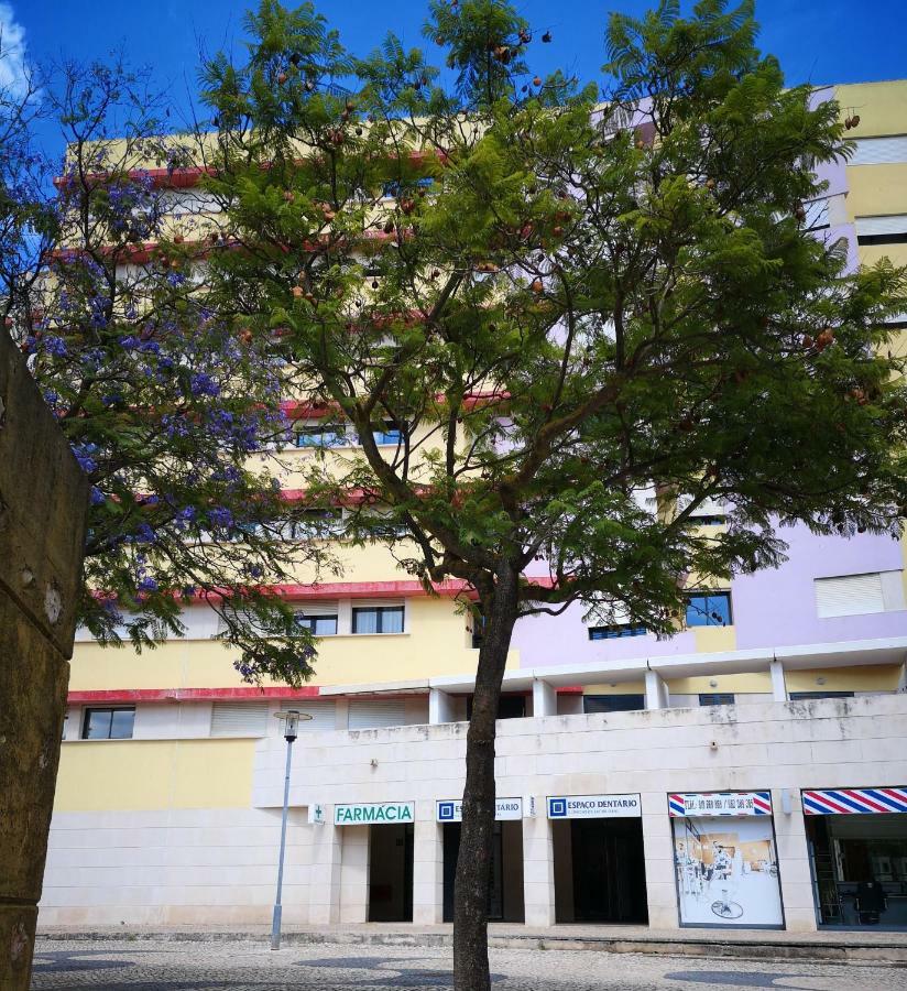 Jardim Dos Jacarandas * Lisboa