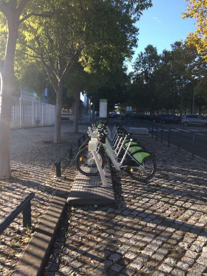 Jardim Dos Jacarandas * Lisboa